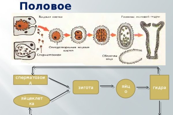 Что за площадка кракен