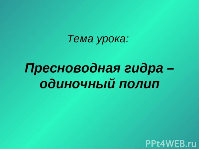 Кракен даркнет официальный сайт