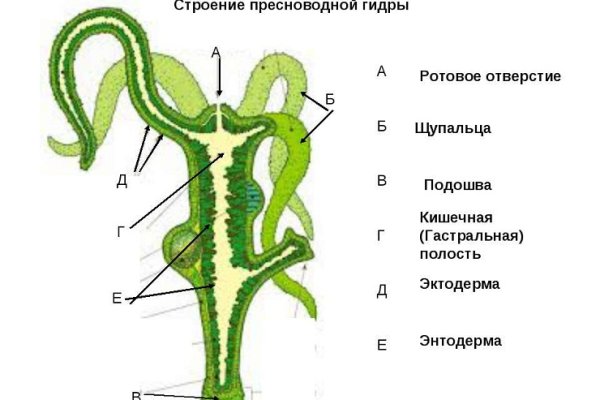 Кракен наркошоп сайт