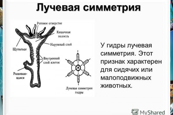 Кракен сайт ссылка k2tor